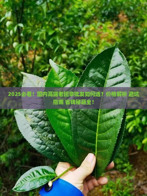 国内高端老班章批发