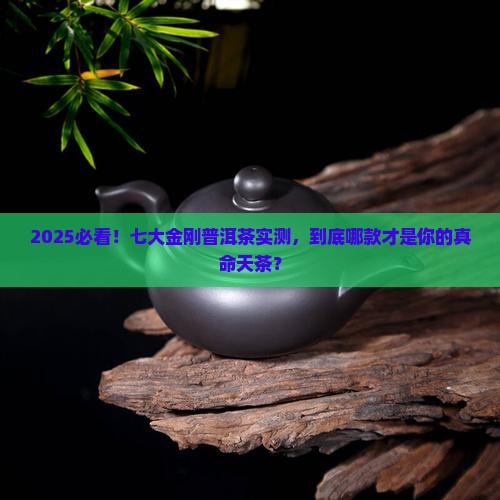 七大金刚普洱茶
