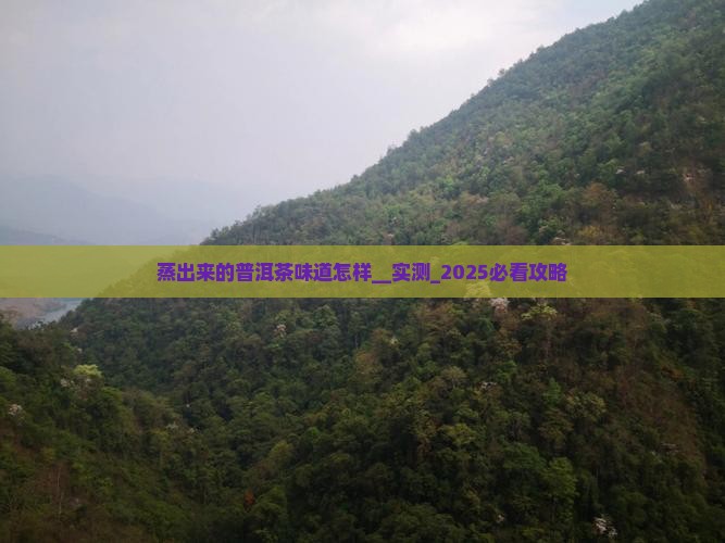蒸出来的普洱茶味道怎样