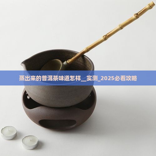 蒸出来的普洱茶味道怎样