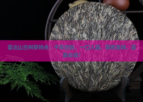 雷达山古树茶特点
