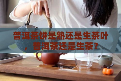 煮普洱茶饼是熟还是生