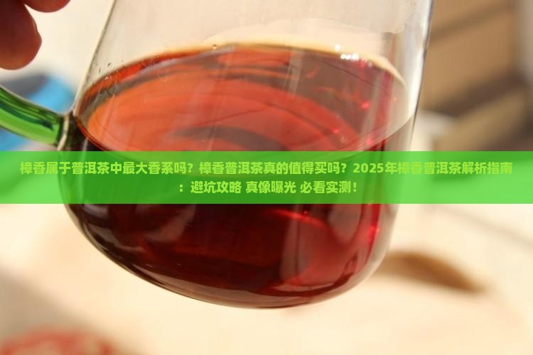 樟香属于普洱茶中最大香系