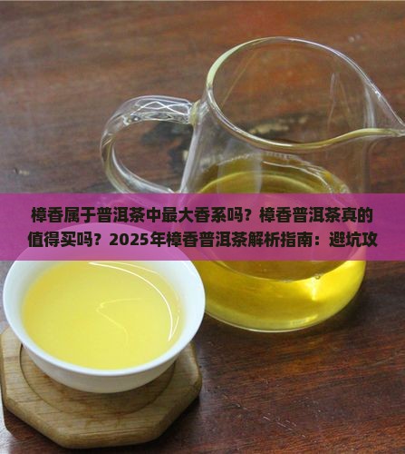 樟香属于普洱茶中最大香系