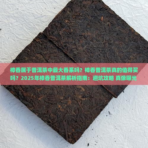 樟香属于普洱茶中最大香系