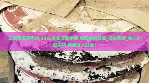 云南普洱茶福饼