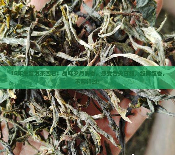 15年生普洱茶回甘