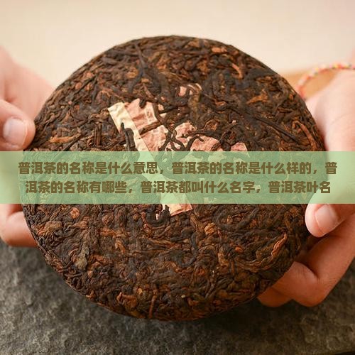 普洱茶的名称是什么