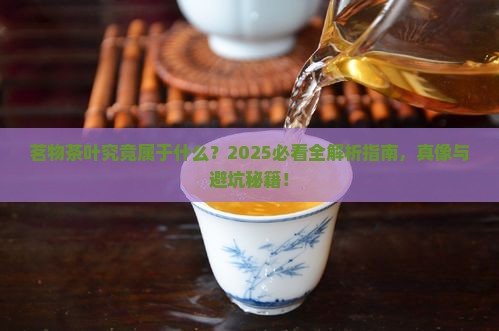 茗物茶叶属于什么