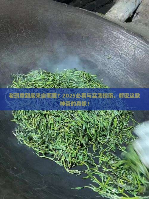 老班章是什么地方的茶