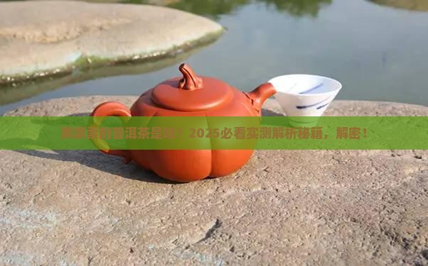 黑条索的普洱茶是什么茶