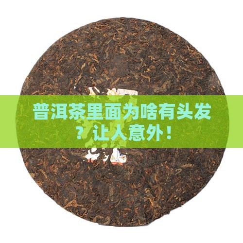 普洱茶里面为啥有头发