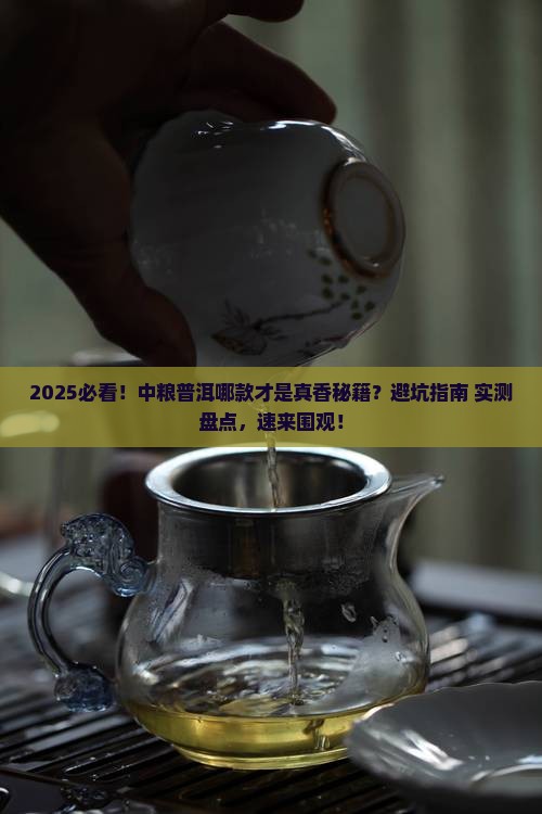 中粮哪款普洱比较好