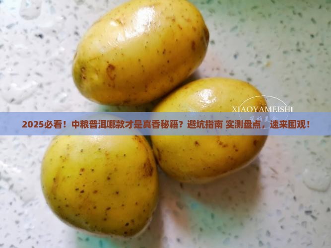 中粮哪款普洱比较好