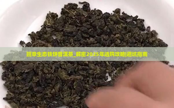 班章生态铁饼普洱茶