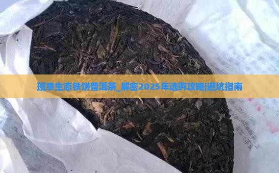 班章生态铁饼普洱茶