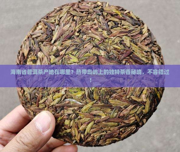 海南省普洱茶产地在哪里