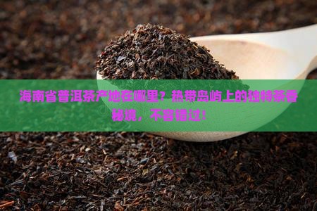 海南省普洱茶产地在哪里