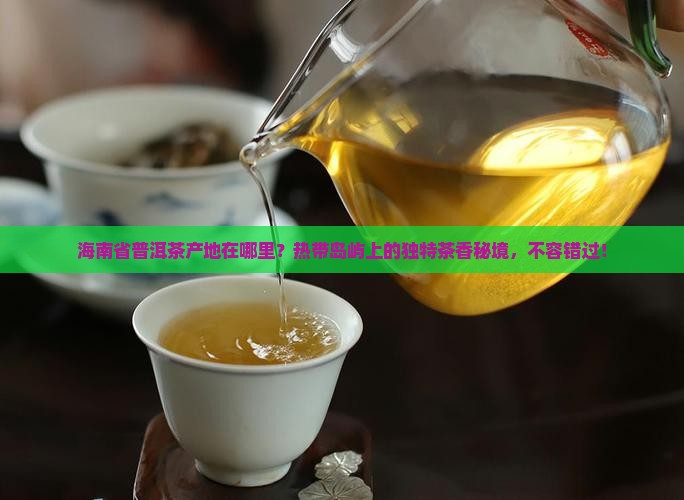 海南省普洱茶产地在哪里