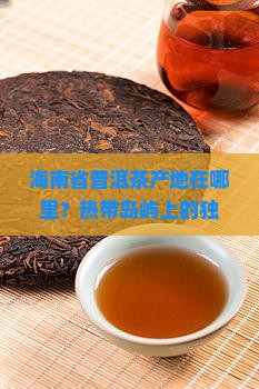 海南省普洱茶产地在哪里