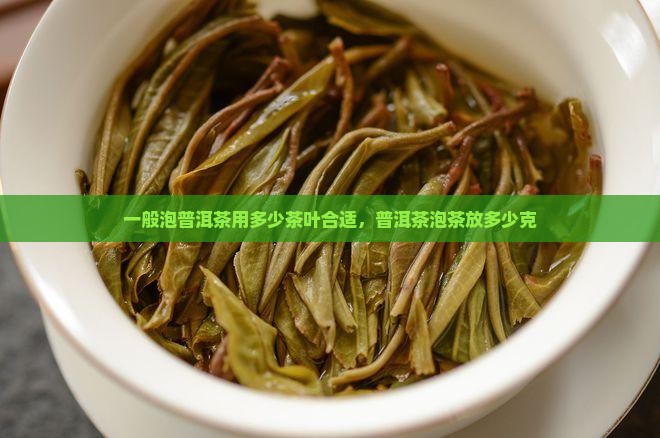 一般泡普洱茶用多少茶叶