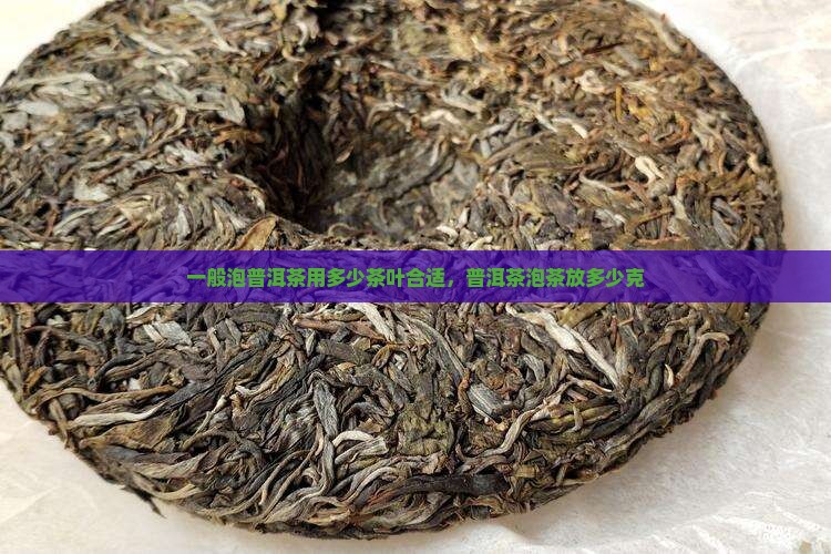 一般泡普洱茶用多少茶叶