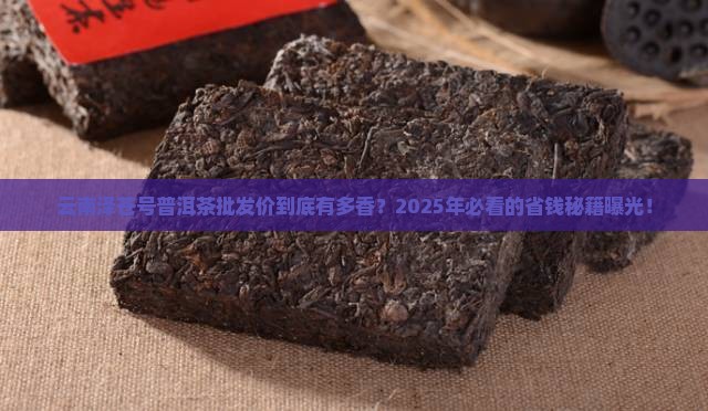 云南泽苍号普洱茶批发价格