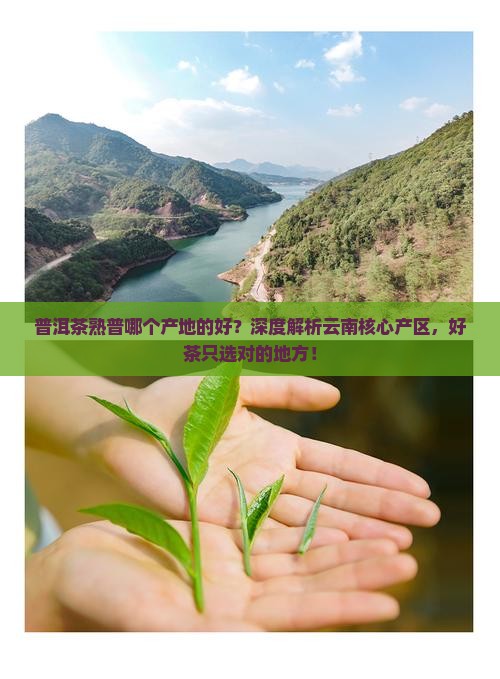 普洱茶熟普哪个产地的好