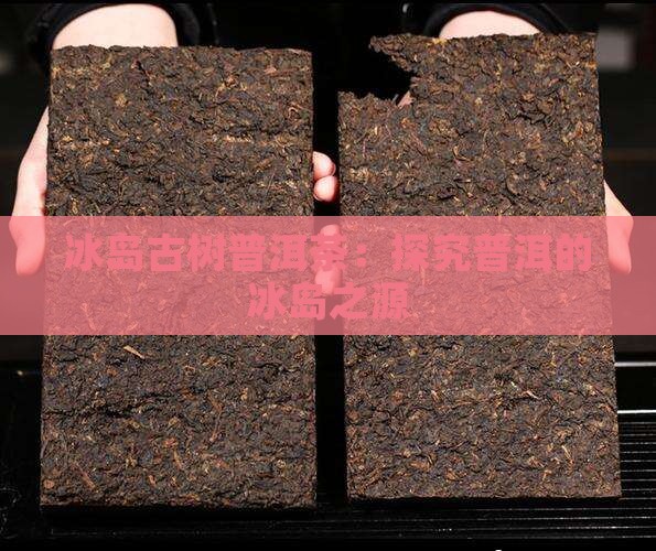 冰岛古糯是什么茶