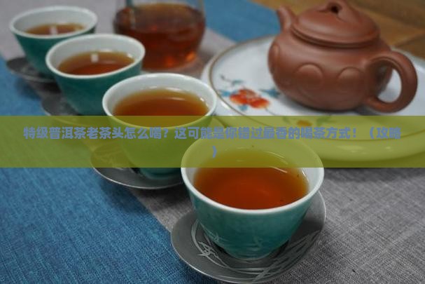 特级普洱茶老茶头怎么喝
