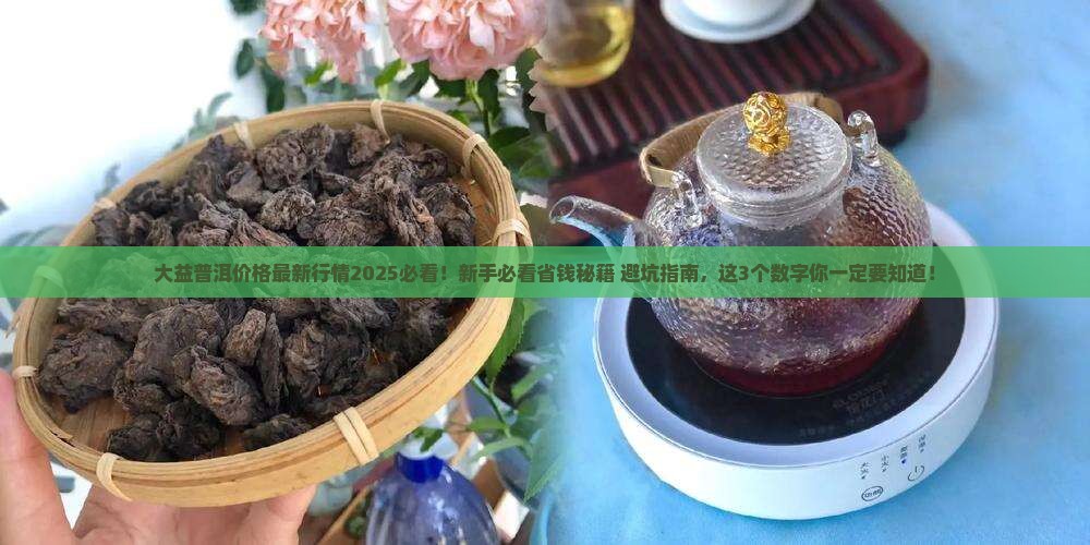 大益普洱价格最新行情