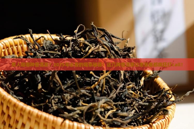男人喝哪种普洱茶