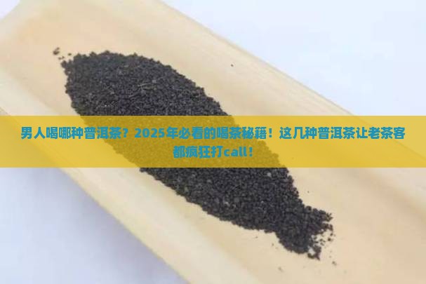 男人喝哪种普洱茶