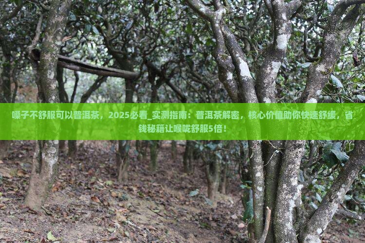 嗓子不舒服可以普洱茶