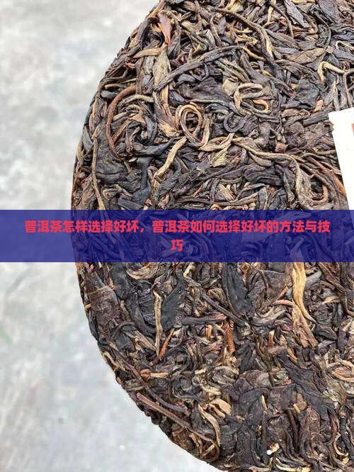 普洱茶怎样选择好坏
