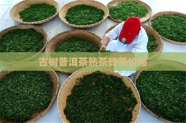 千年古树普洱茶熟茶砖茶