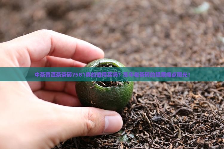 中茶普洱茶茶砖7581