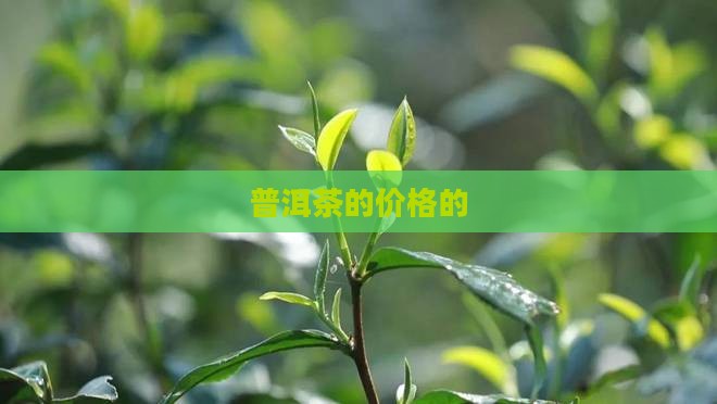 普洱茶的价格的走势