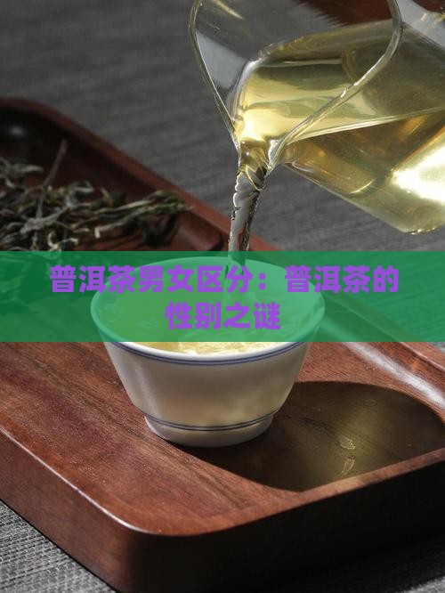 普洱茶分男女吗
