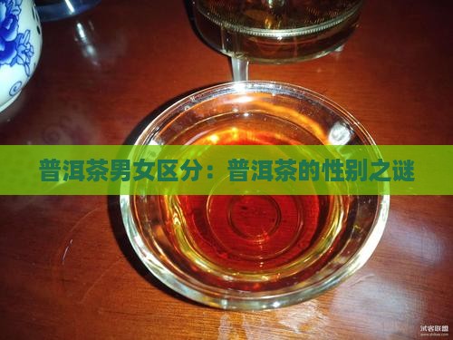 普洱茶分男女吗