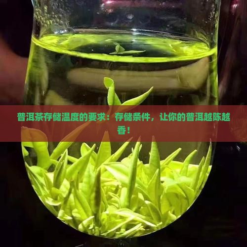 普洱茶存储温度的要求
