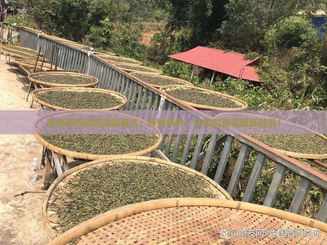 普洱茶存储温度的要求