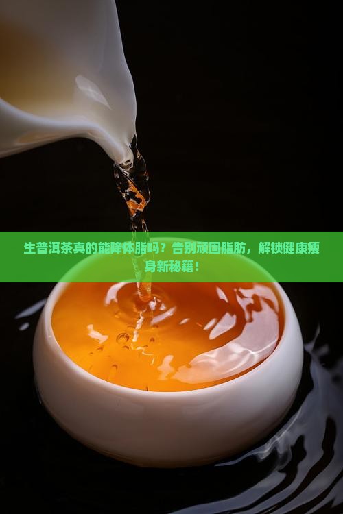 生普洱茶可以降体脂吗