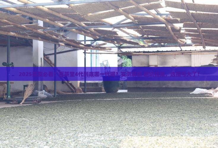百茶堂特沱4代百茶堂几代好喝