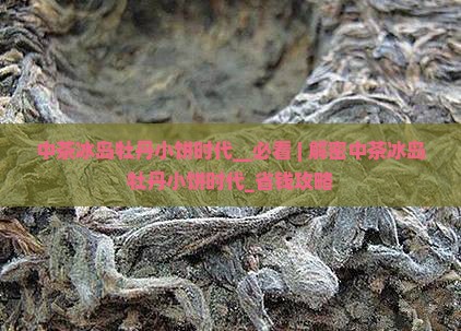 中茶冰岛牡丹小饼时代