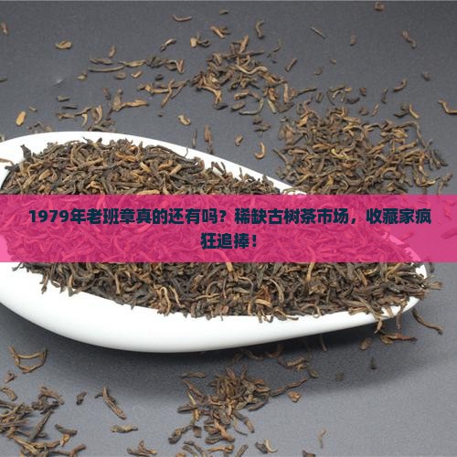 1979年老班章