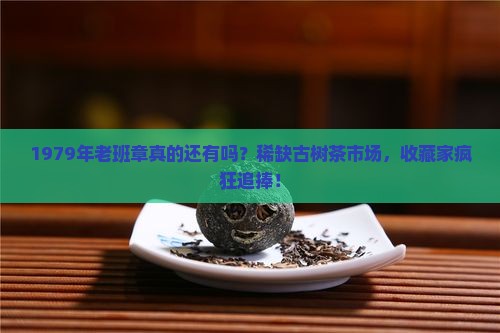 1979年老班章
