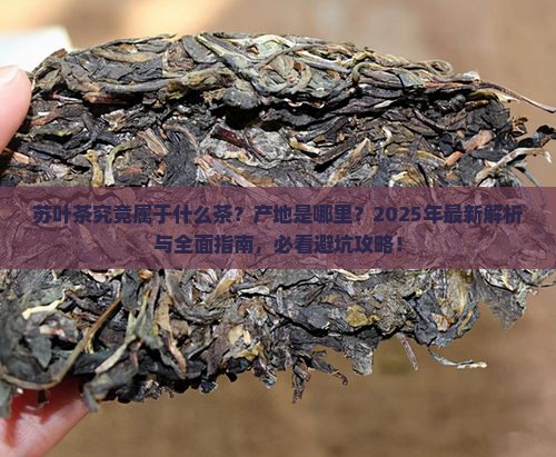 苏叶是属什么茶是哪里的