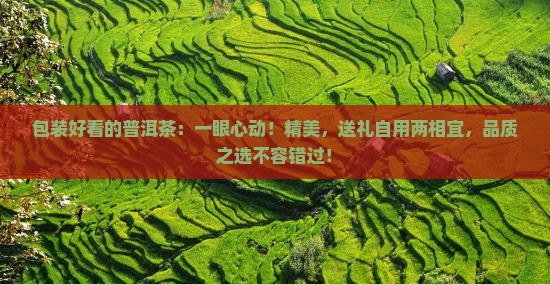 包装好看的普洱茶