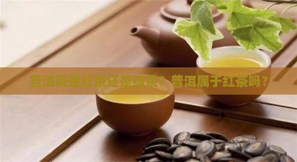 普洱茶是否归为红茶